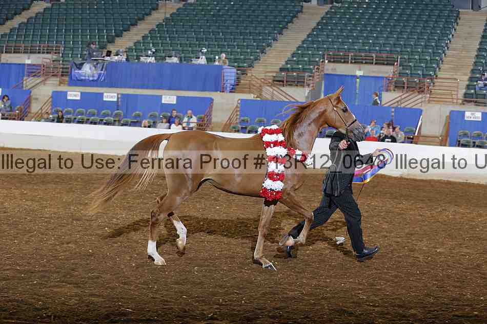 Proof 13r12_0648