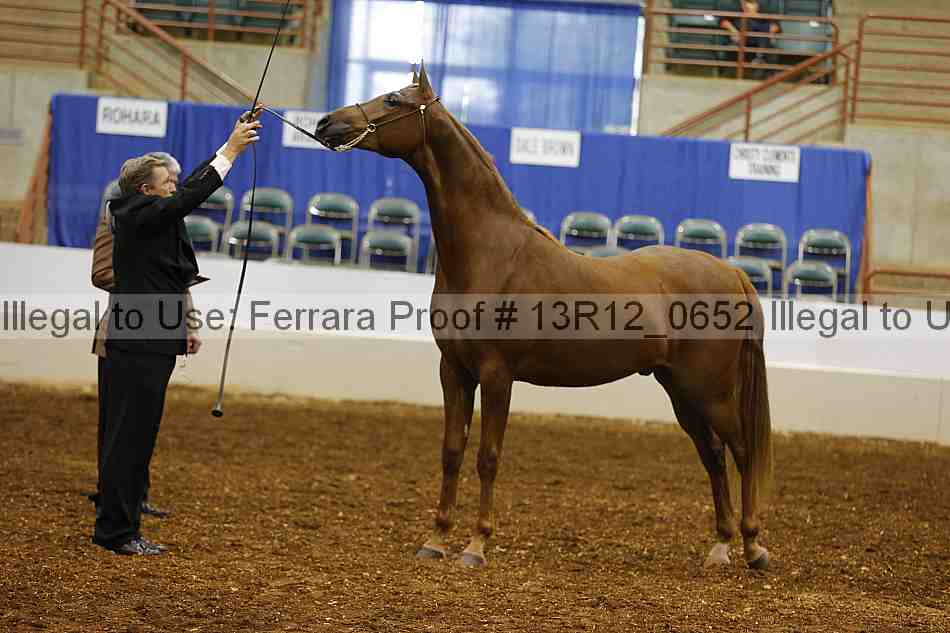 Proof 13r12_0652