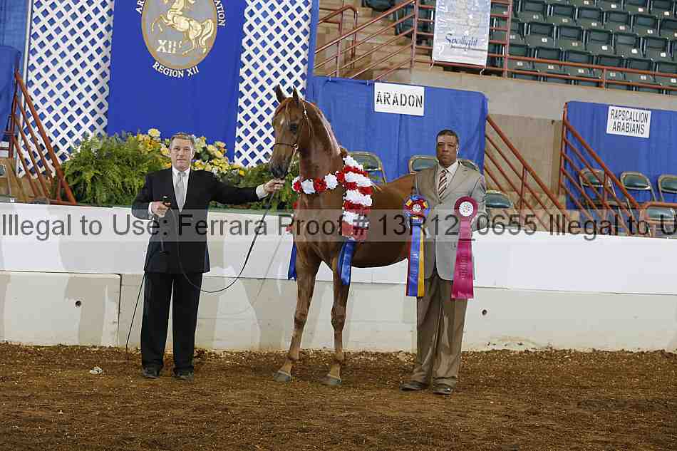 Proof 13r12_0655