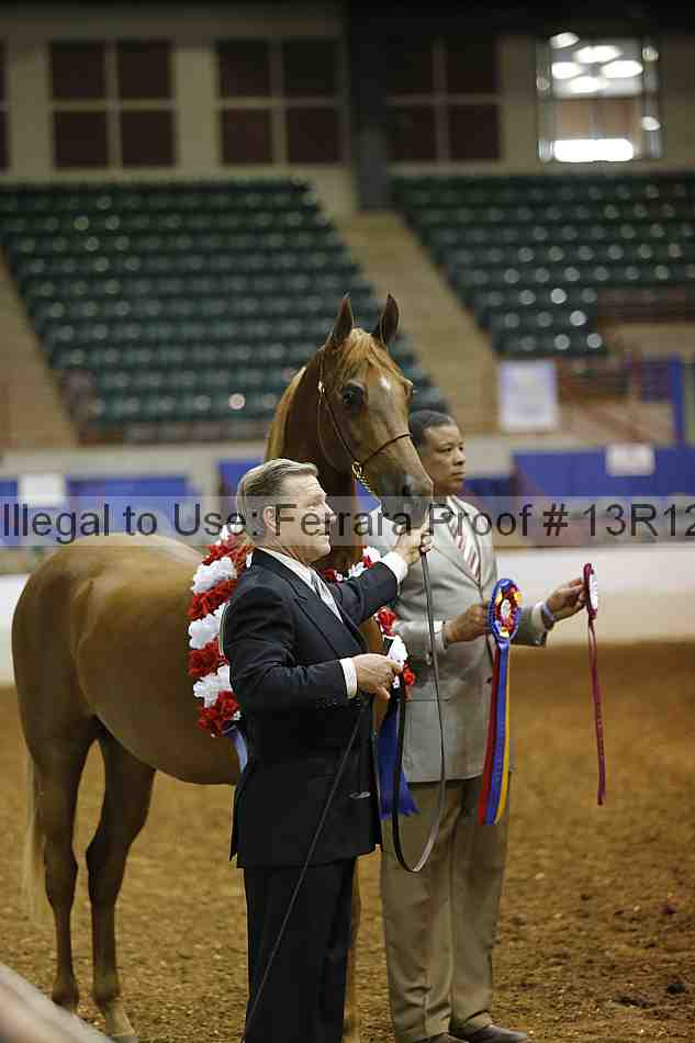 Proof 13r12_0656