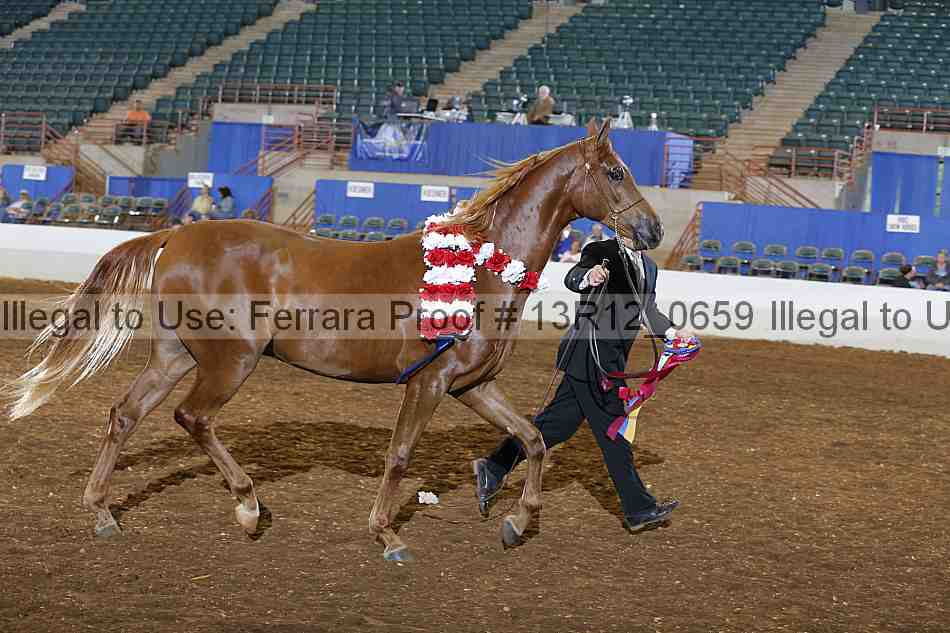 Proof 13r12_0659