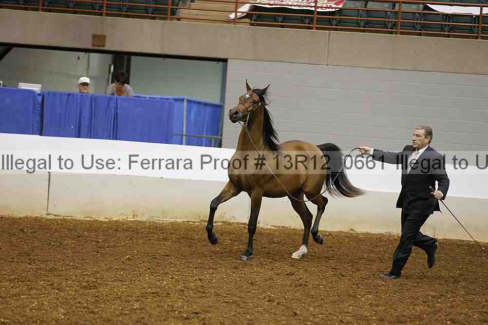 Proof 13r12_0661