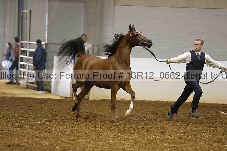 Proof 13r12_0662