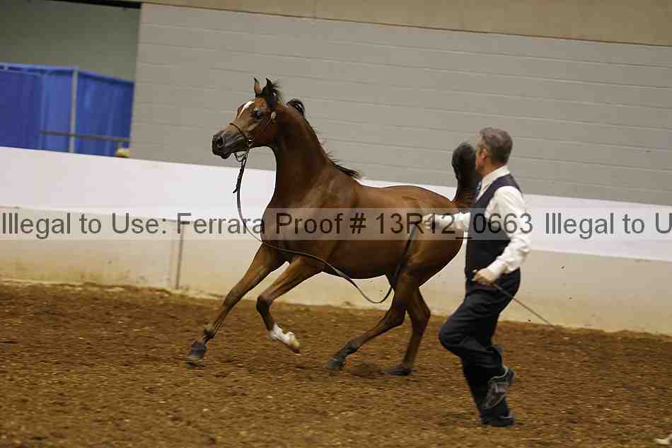 Proof 13r12_0663