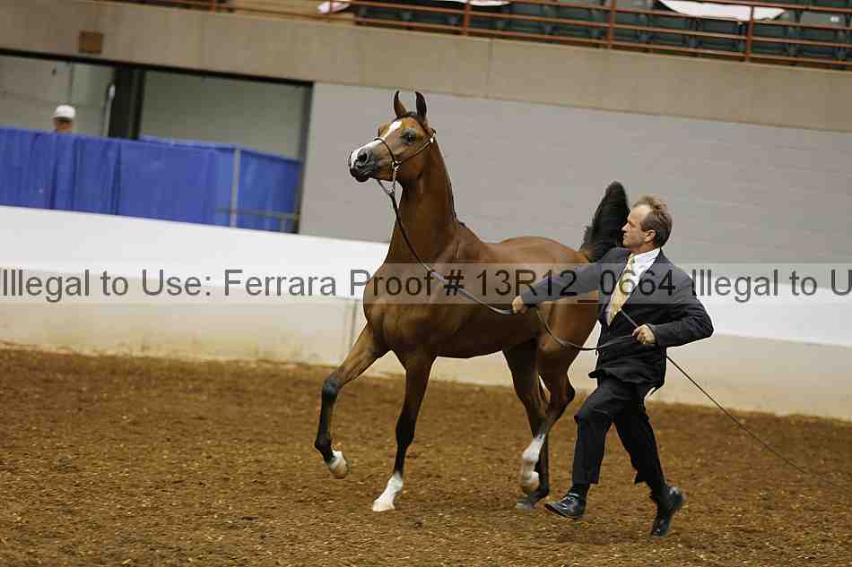 Proof 13r12_0664