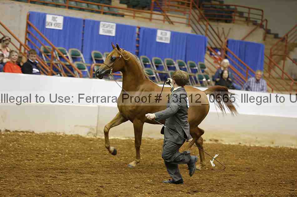 Proof 13r12_0665