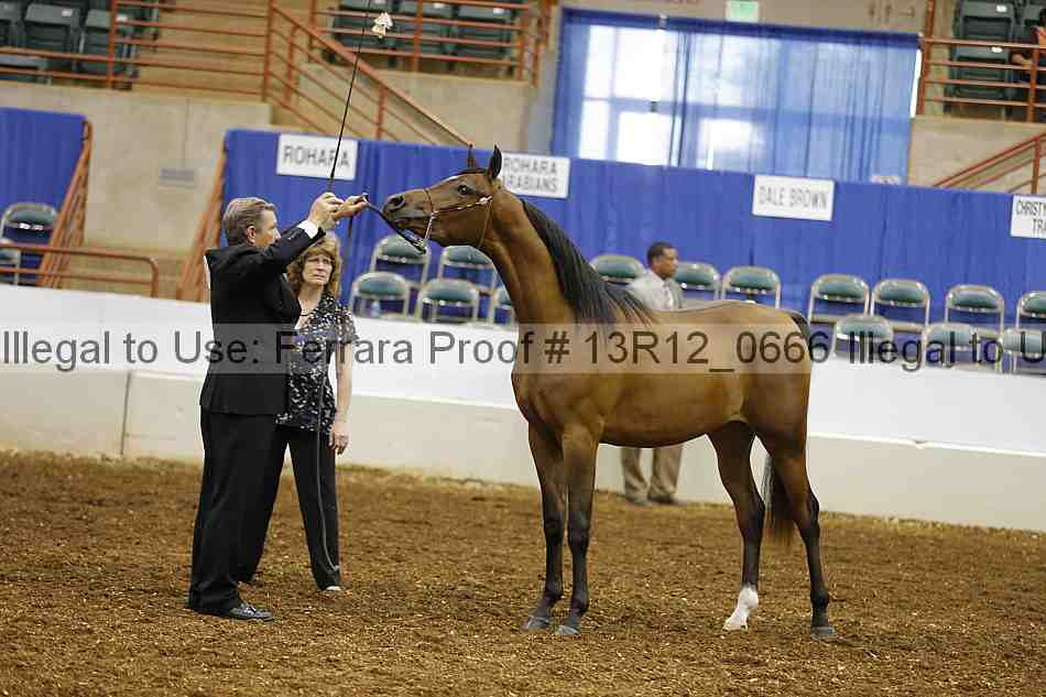 Proof 13r12_0666