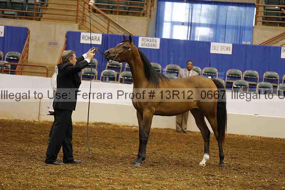Proof 13r12_0667