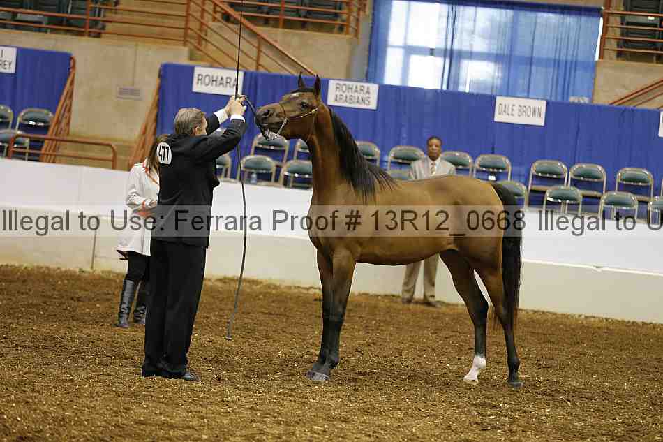 Proof 13r12_0668