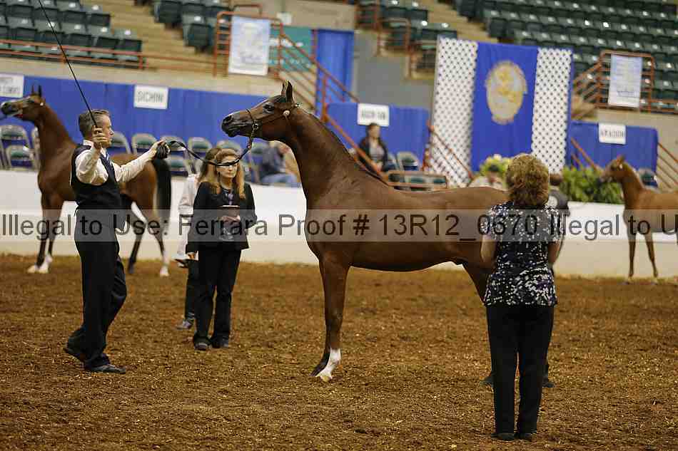 Proof 13r12_0670