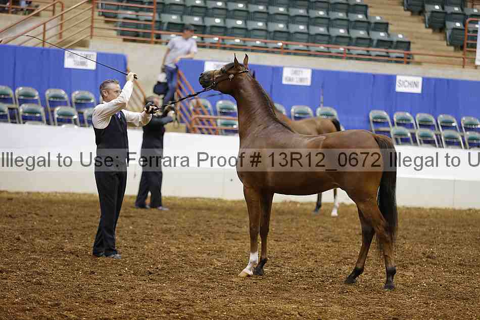 Proof 13r12_0672