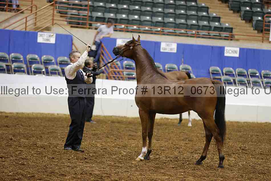Proof 13r12_0673