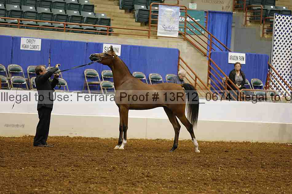 Proof 13r12_0674