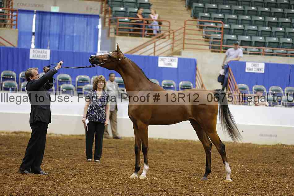 Proof 13r12_0675