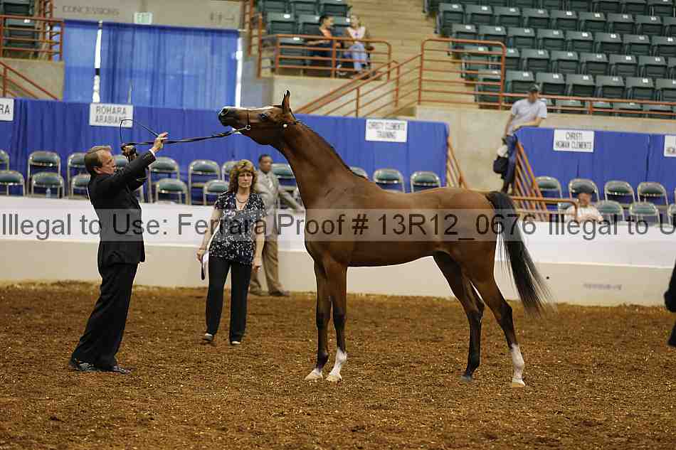 Proof 13r12_0676