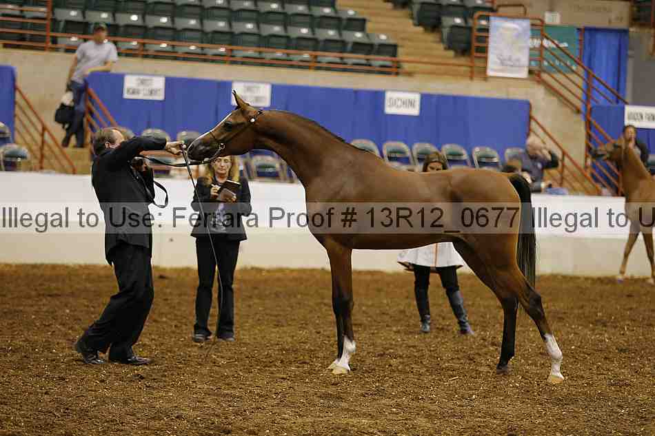 Proof 13r12_0677