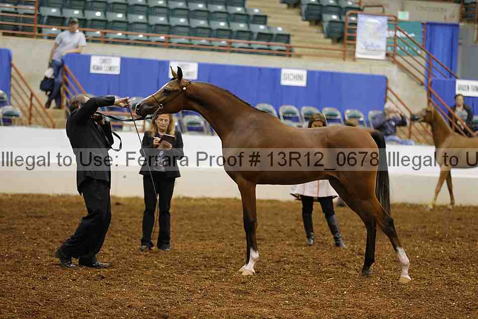 Proof 13r12_0678