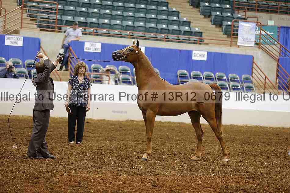 Proof 13r12_0679