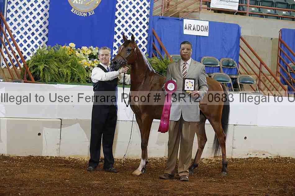 Proof 13r12_0683