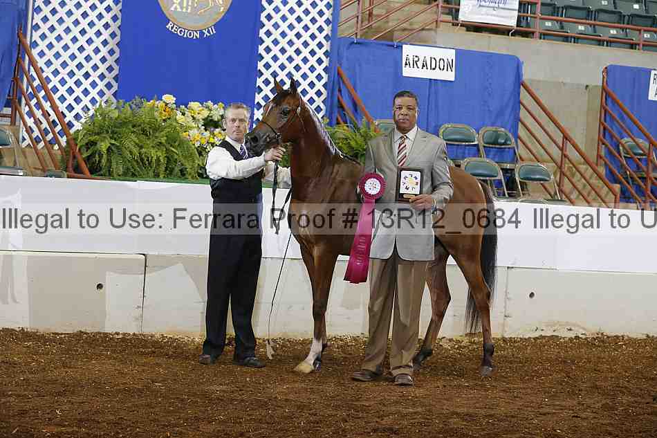 Proof 13r12_0684