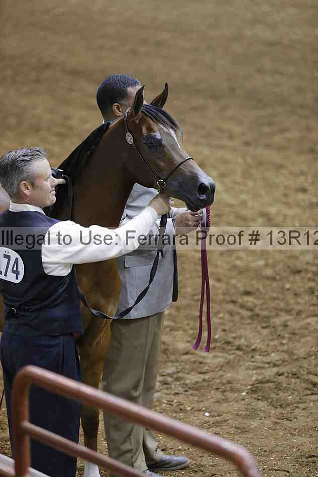 Proof 13r12_0685