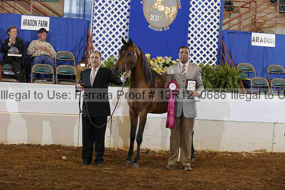 Proof 13r12_0686