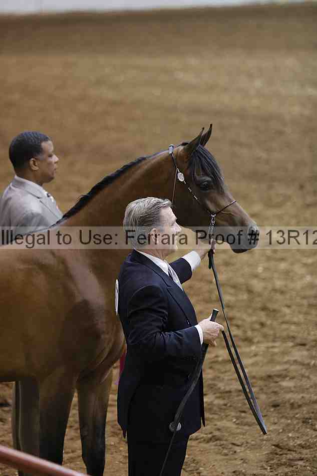 Proof 13r12_0688