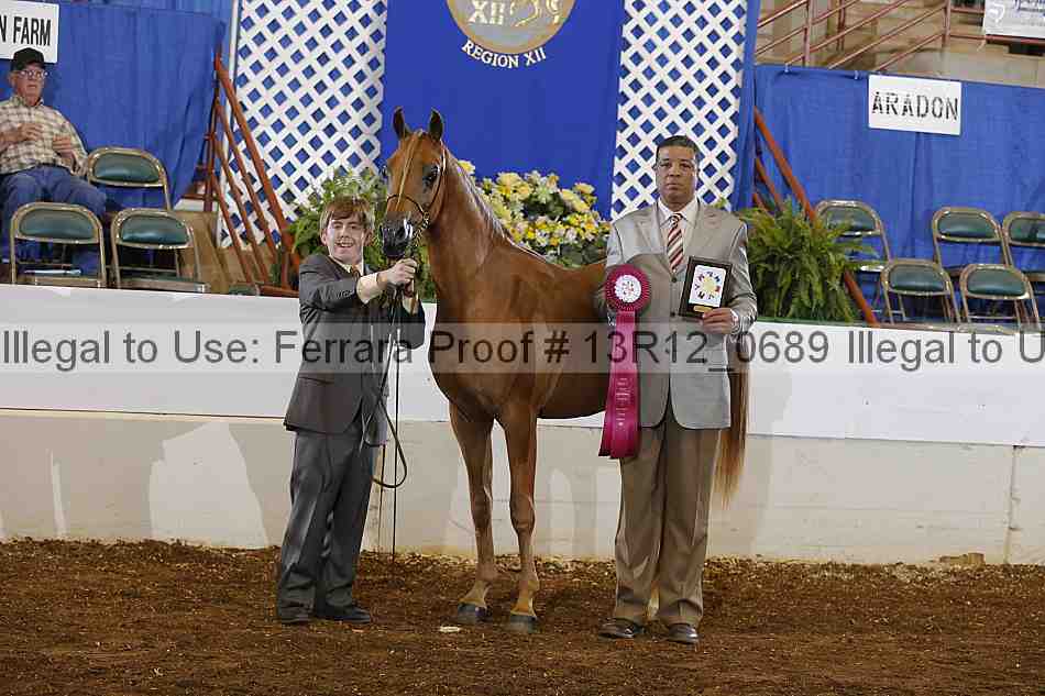 Proof 13r12_0689