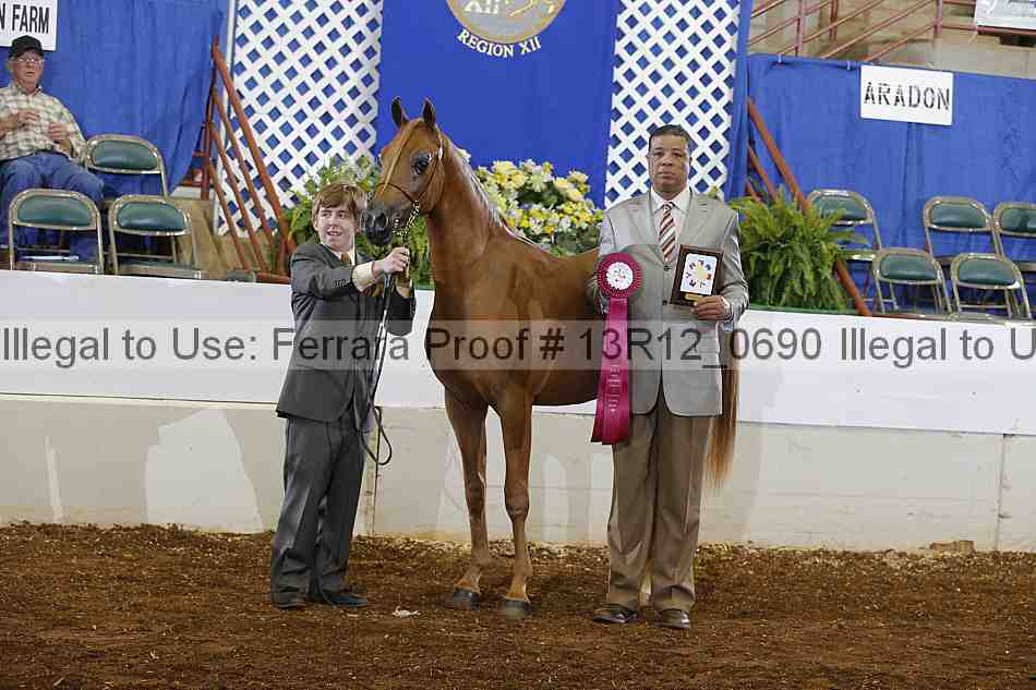 Proof 13r12_0690