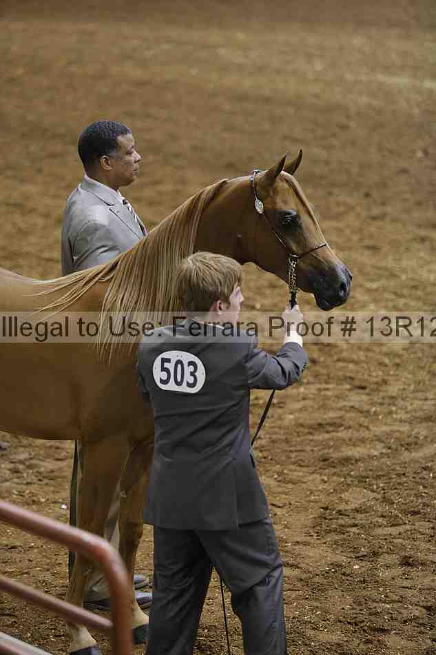 Proof 13r12_0691