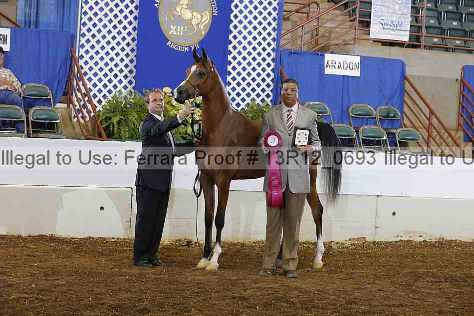 Proof 13r12_0693