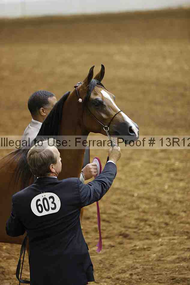 Proof 13r12_0694
