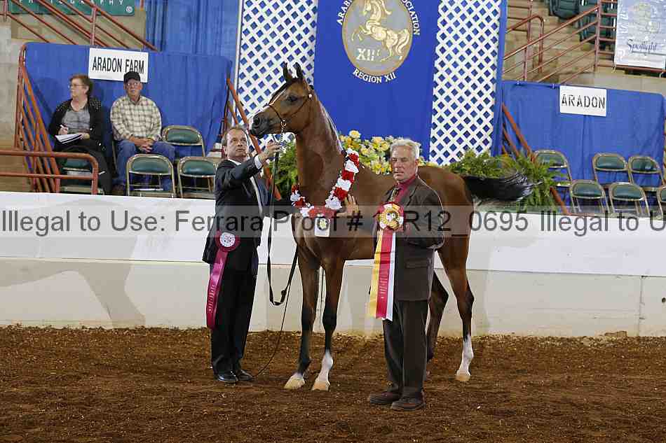 Proof 13r12_0695