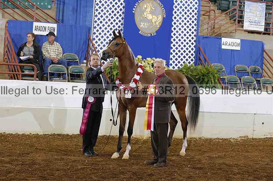 Proof 13r12_0696