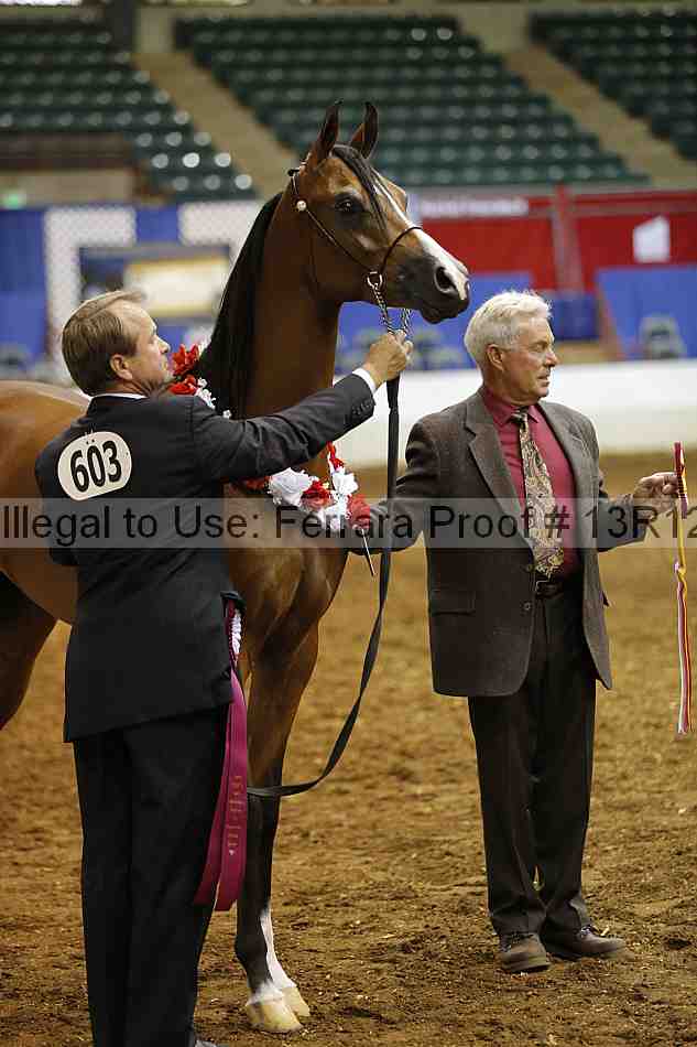 Proof 13r12_0698