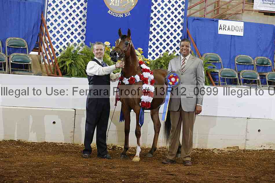 Proof 13r12_0699