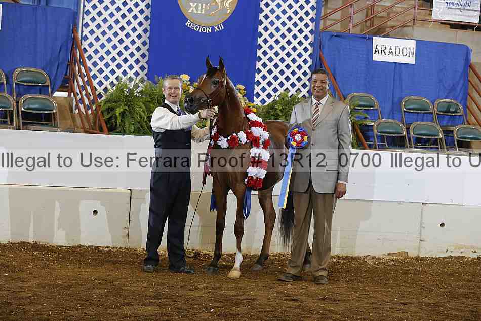 Proof 13r12_0700