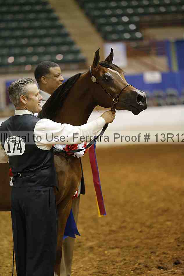 Proof 13r12_0702