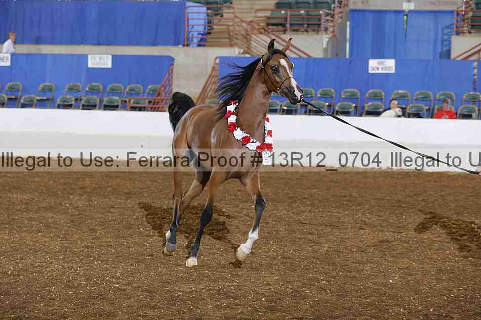 Proof 13r12_0704
