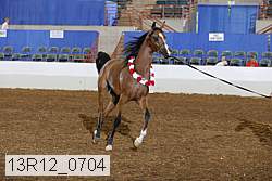 13r12_0704 proof