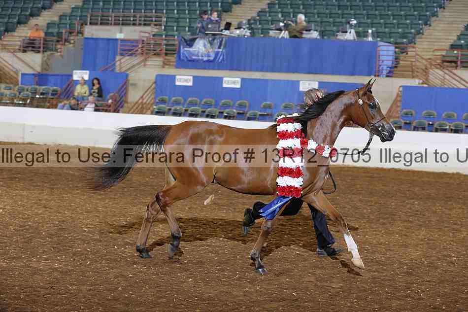 Proof 13r12_0705