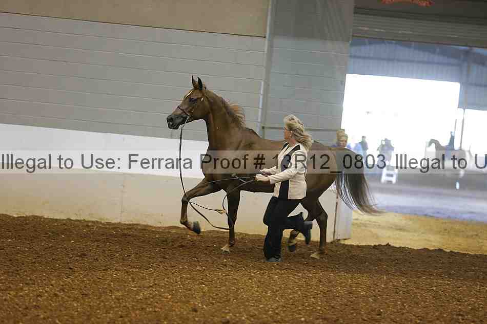Proof 13r12_0803