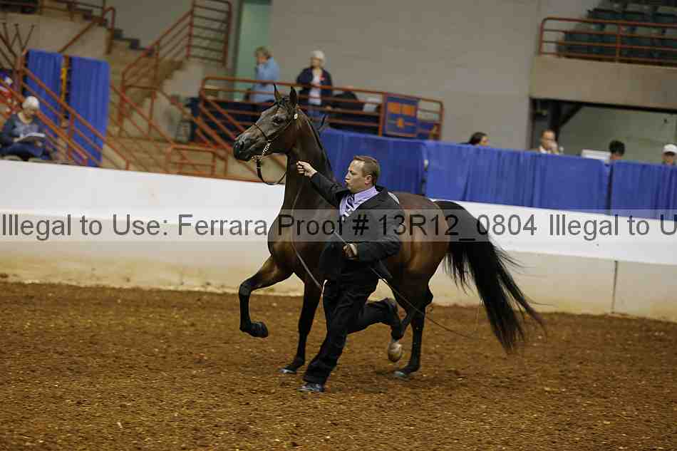 Proof 13r12_0804