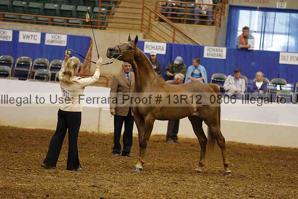 Proof 13r12_0806