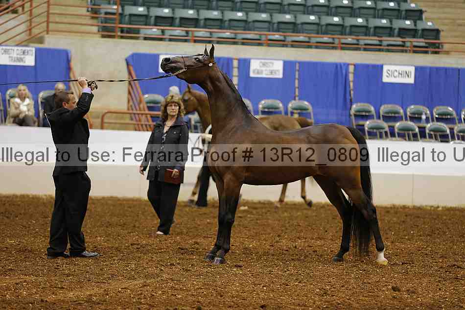 Proof 13r12_0809