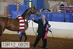 13r12_0825 proof