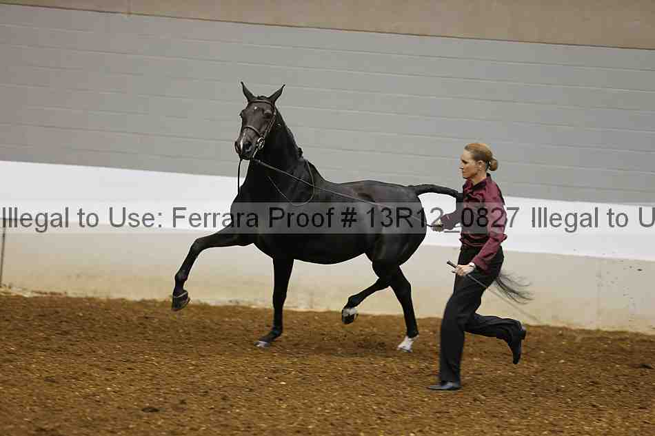 Proof 13r12_0827