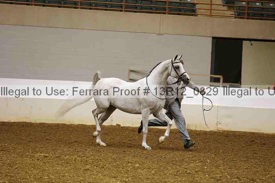 Proof 13r12_0829