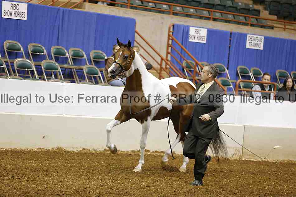 Proof 13r12_0830