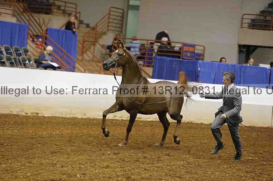 Proof 13r12_0831